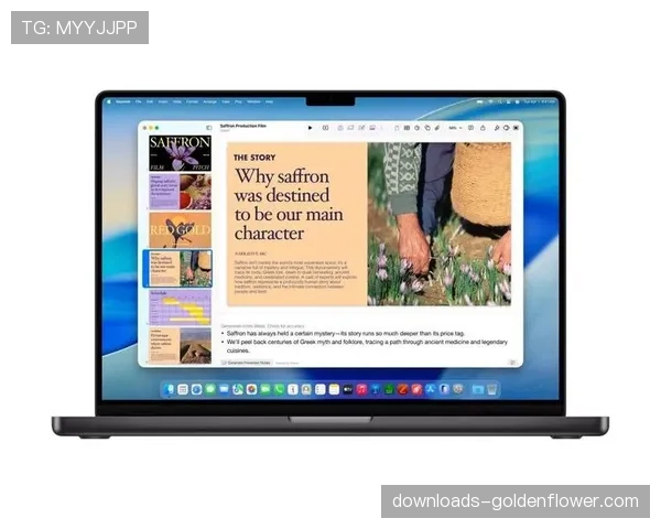 深度报道：球迷订阅制疲劳？各大联赛流媒体平台探索基于AI的个性化精彩集锦推送服务