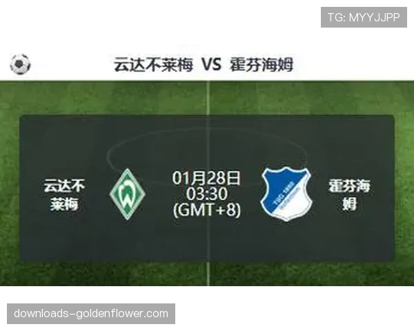 半场战报：不来梅0-0霍芬海姆，双方合计仅一次射正